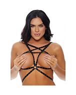 Kann nicht mich BH Silber studieren