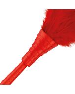 Rote Vibrationsfeder