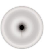 Renegade Universal Pumpe Ärmel Arsch