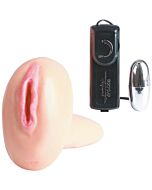 Schwül Vagina mit Vibrator