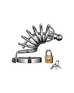 Asyl - 6 Ring Chasity Käfig