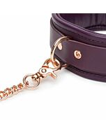 Fünfzig Schattierungen befreiten Lederkragen und Blei