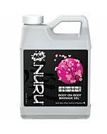 Wet nuru Massagegel konzentrieren 1077 kg