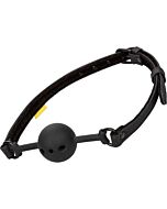 TranspiGag --> TranspiGag