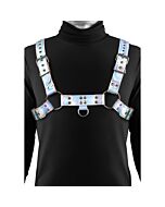 Arnes Cosmicidad --> Cosmicity Harness