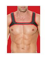 Geschirr Rot Puppy Love