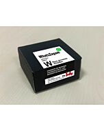 Fruchtige Penis Lutscher Box