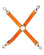 Leuchtende orangefarbene Glanzhaken