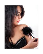 Geheimnisvolle Schwarze Feder