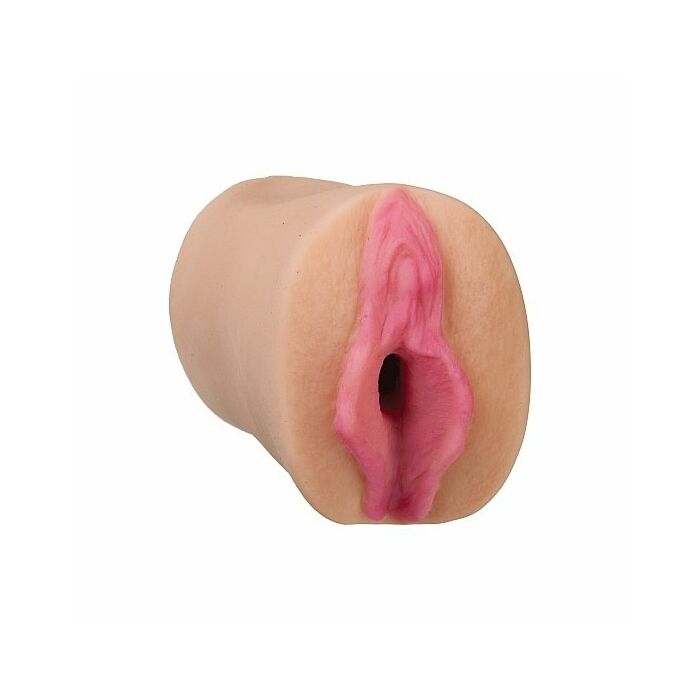 Alle Sterne Pornostars - Dana DeArmond