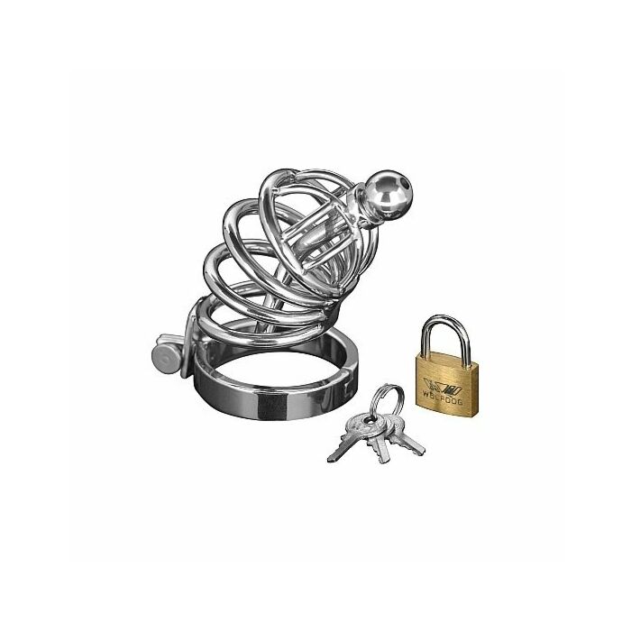 Asyl - 4-Ring-Chasity-Käfig