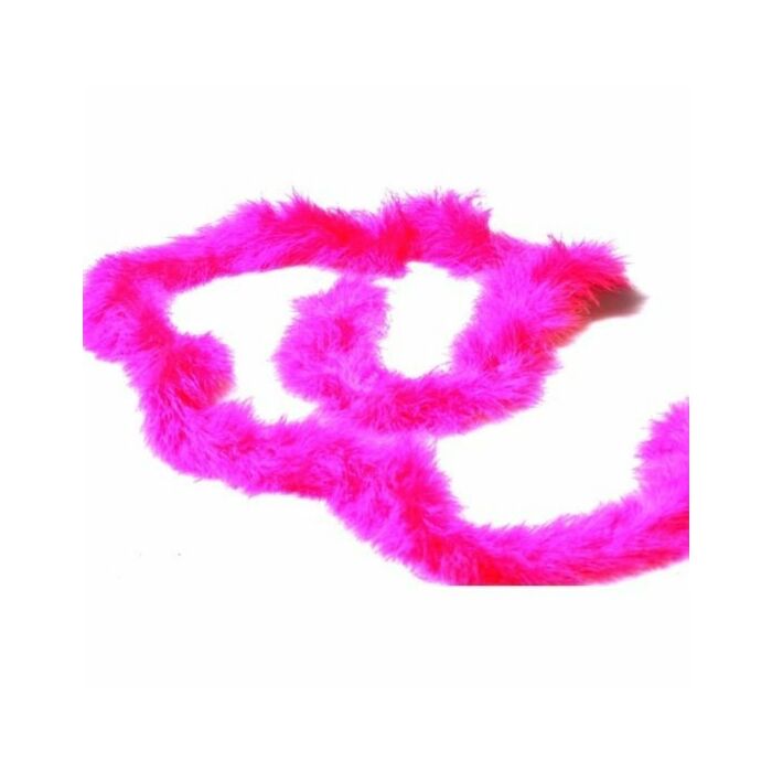 Geheime gute Fuchsia-Momente