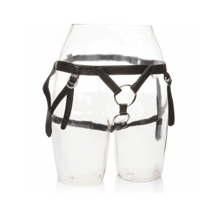 Ihr königliches Geschirr die Holländerin