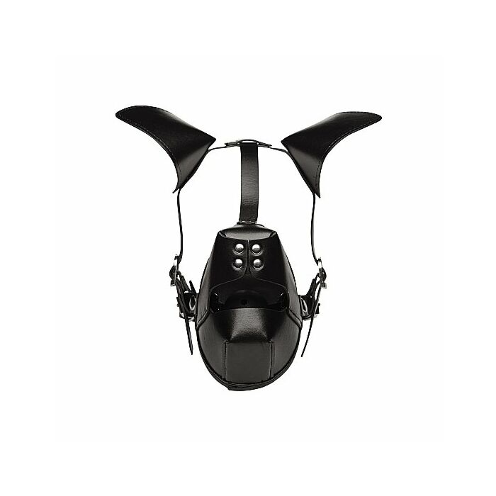 Welpe Welpen spielen Kapuze und Knebel