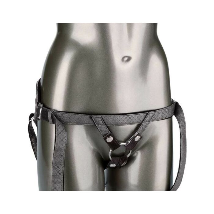 Die königliche Prinzessin - Gris