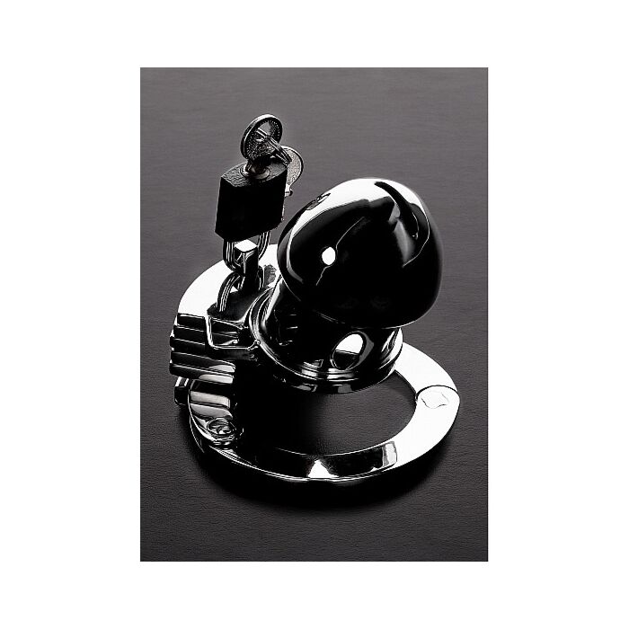 Der Gefängnisvogel - Acero Inox