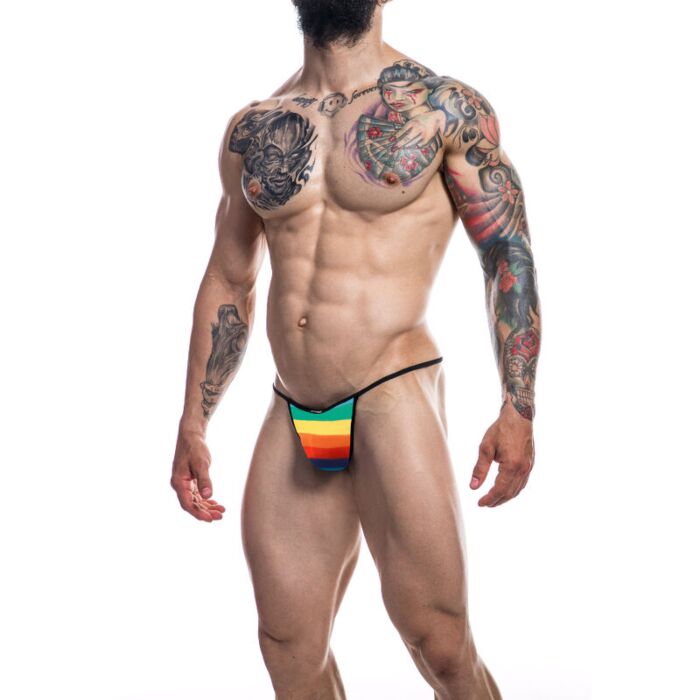 Bikini Regenbogen XL
