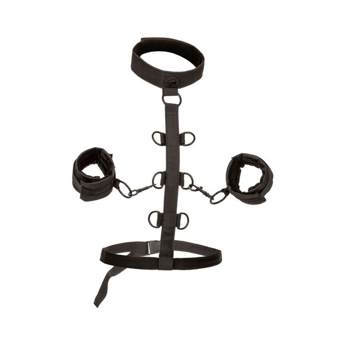 Grenzenloses Einschränkungsgeschirr