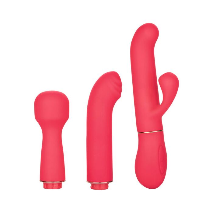 Kit Vibradrores in Kontakt Leidenschaft Trio - Rosa