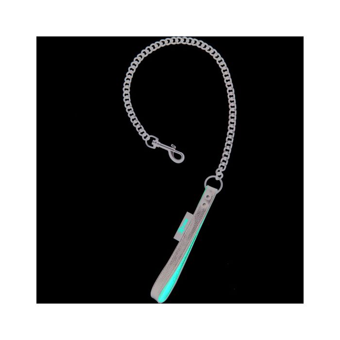 Handler an der Leine schwarz und rot