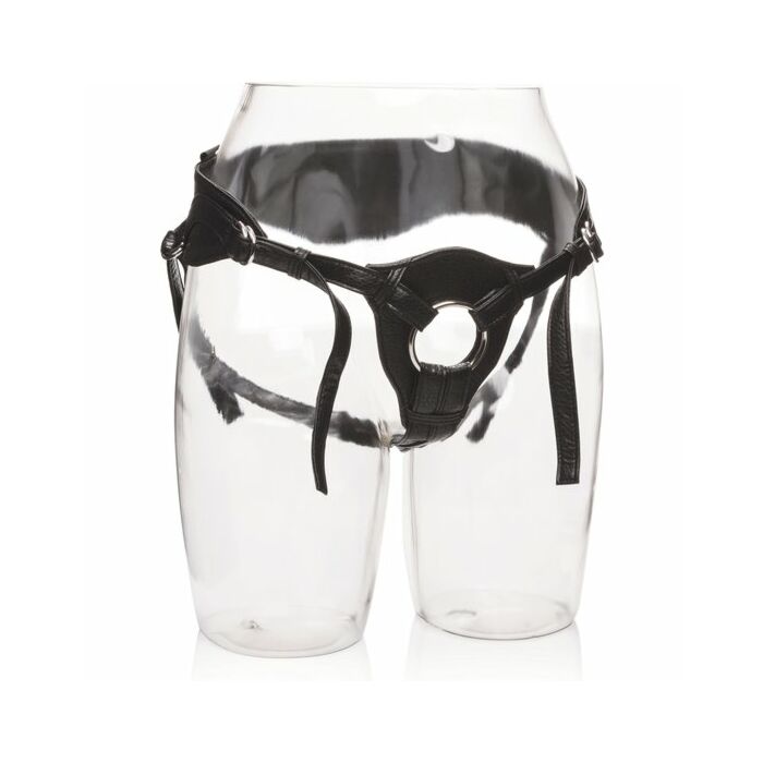 Ihr königliches Geschirr die Königin