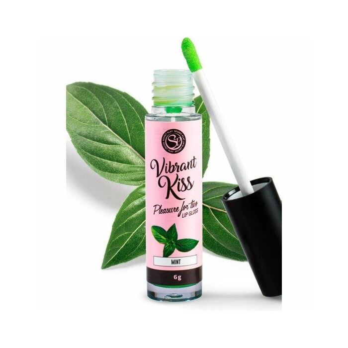 Glanz Lipgloss Frische Minze