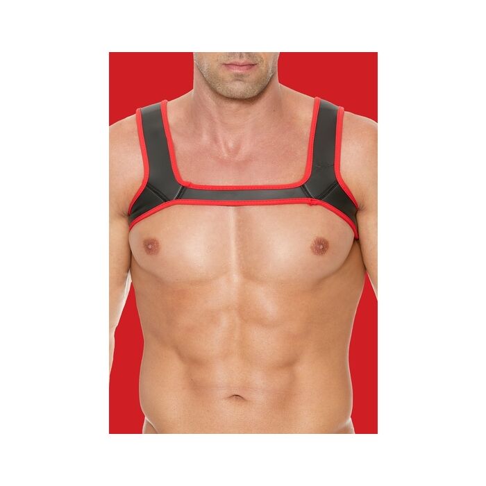 Geschirr Rot Puppy Love