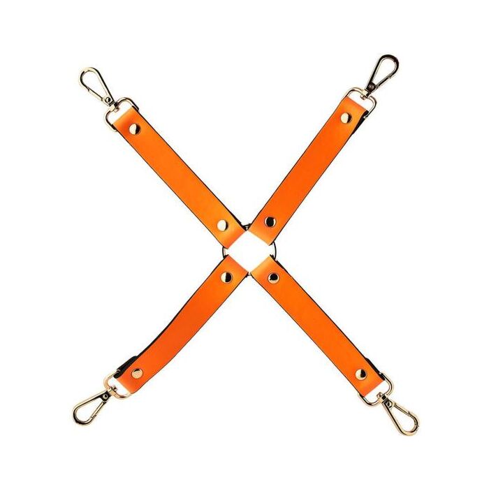 Leuchtende orangefarbene Glanzhaken