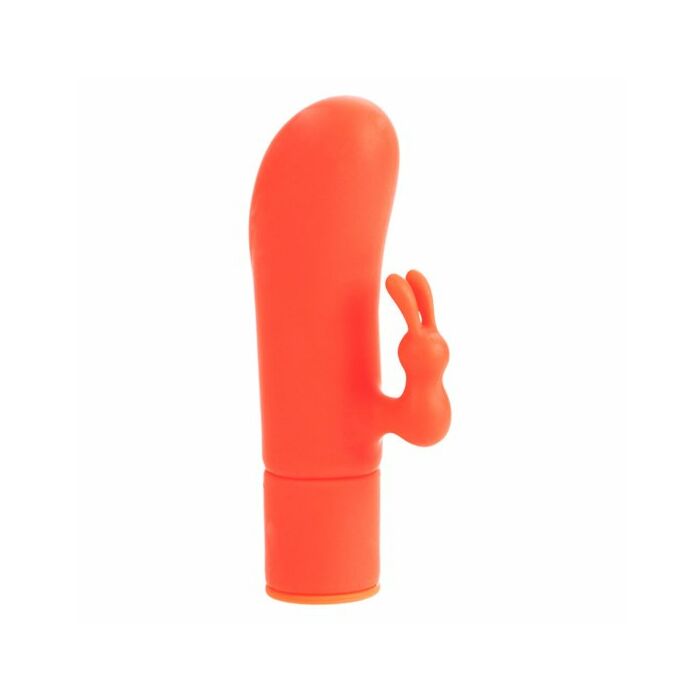 Posh 10 speed Orange Tasche pleaser