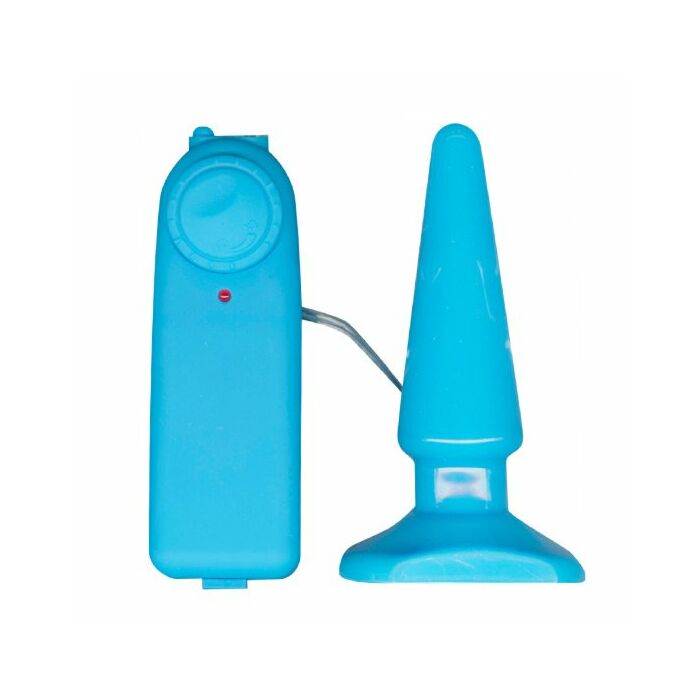 Funky Plug-Vibrator anal