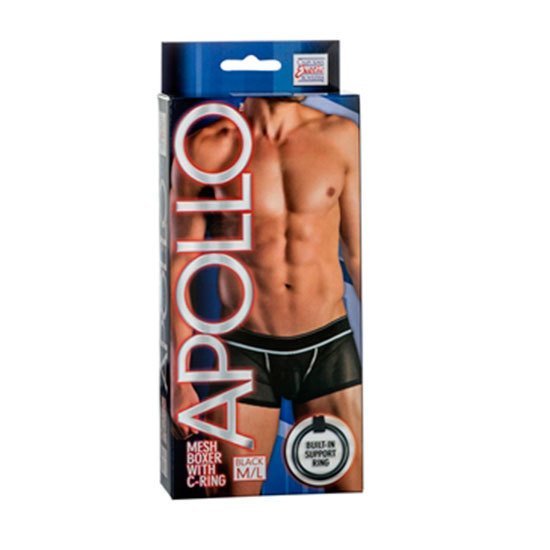 Apollo Boxer mit Ring